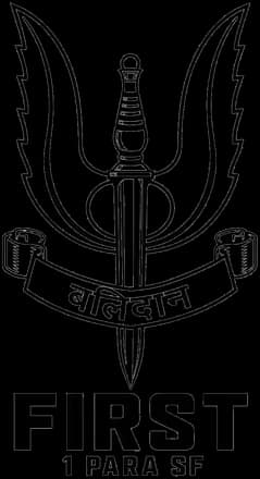 First 1 Para SF crest